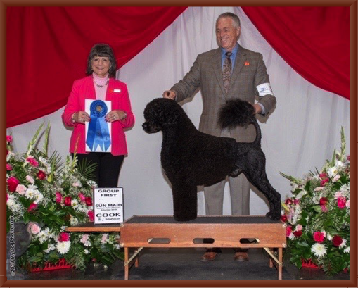 Bernie Wins the Working Group at the 2019 Sun Maid Kennel Club Dog Show in Fresno, CA 